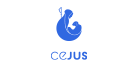 icon8_blue.png