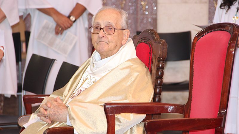 Mensagem do Santo Padre Francisco para a celebração do 54º Dia Mundial da  Paz – Arquidiocese de Ribeirão Preto